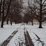 Jim Tremblay - @1jimtremblay - Instagram