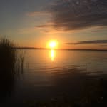 Jim Trent - @jimtrent52 - Instagram