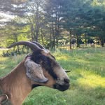 Jim Trudeau - @jim.trudeau.508 - Instagram