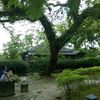 Jim Tseng718 - @31409467225 - TikTok