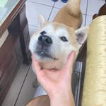 Jim Tseng - @zxj.1210 - Instagram