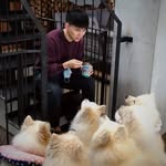 Jim Tseng - @jimtct - Instagram