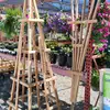 Roy's  Green House - @jimslusher1 - TikTok