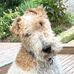 Jim Vance - Facebook