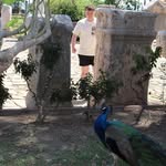 Jim Vargo Jr. - @jimvargoo - Instagram