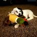 James Veenstra - Facebook