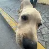 Vjime<3 - @jimevelarde - TikTok