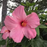Jim Vernon - @jimvernon5 - Instagram