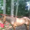 Jim Vickers - @user656825929 - TikTok