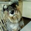 Jim Vickers - @jim.vickers5 - TikTok