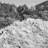 jimvo_4 - @jimvo_4 - TikTok