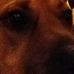 Jim Wacker - Facebook