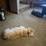 Jim Waggoner - @weiincjcw - Instagram