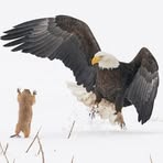 Jim Wall - Facebook