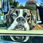 Jim Warner - @jim.warner.72 - Instagram