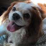 Jim Warner - @jimwarner618 - Instagram