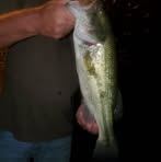 James Weems - Facebook