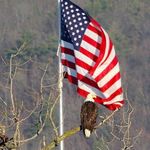 Jim Weidman - @jim.weidman.79 - Instagram