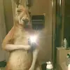 user2345 - @jimwesley - TikTok