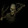 jimwest521 - @jimwest521 - TikTok