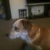 Jim Wheatley - Facebook
