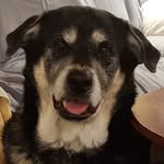 Jim Wheatley - @jwheat72 - Instagram