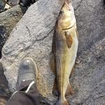 lalelu - @jim_willson_71 - Instagram