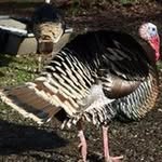 Jim Winchell - @jimwinch - Instagram