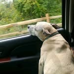 Jim Winchell - @jimwinchell17 - Instagram