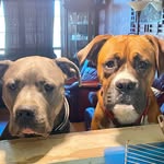 Jim Windham - @jimbob1965 - Instagram