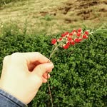 Jim _WING - @jim_wing - Instagram