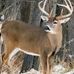 Jim Winters - Facebook