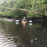 Jim Wolfe - @jimwolfe4087 - Instagram