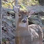 Jim Wray - @jim.t.wray - Instagram