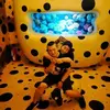 Jim Xiao - @2171413774 - TikTok