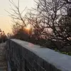 jimxiao87 - @jimxiao87 - TikTok
