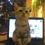 Ma - @jimxiaobin - Instagram