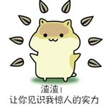 Jim Yip - @jim.yip - Instagram