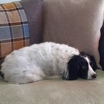 Jimmy Abbott - @jimmy_yeti - Instagram