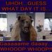 Jimmy Beasley - Facebook