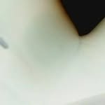 Jimmy Bender - @bender6861 - Instagram