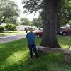jimmiebryant0 - @jimmiebryant0 - TikTok