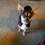Jimmie Crossland - @jimmiecrossland - Instagram