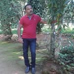 Jimmy David - @jimmy.david.961 - Instagram