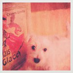 @jimmiehead - Instagram