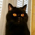 Jimmy High-rtiste - @jimmy_high_rtiste - Instagram