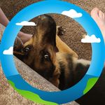 Jim Lowry - @jimmy40690 - Instagram
