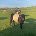 Jimmy Lowry - Facebook
