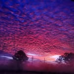 Jimmie Lyons - @jimmie.lyons1 - Instagram