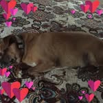 Jimmy Lyons - @jimmy.lyons.77964 - Instagram